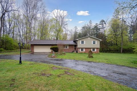 4851 Clinton Rd, Jackson, MI 49201 photo 3