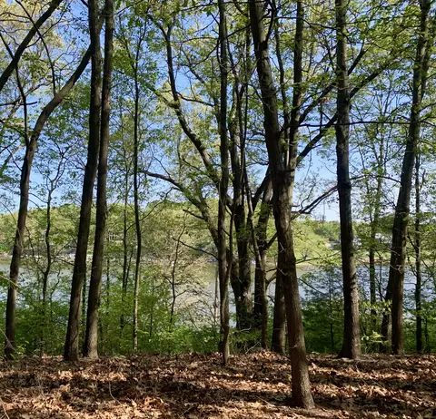 V/l Silver Lake Drive, Saugatuck, MI 49453