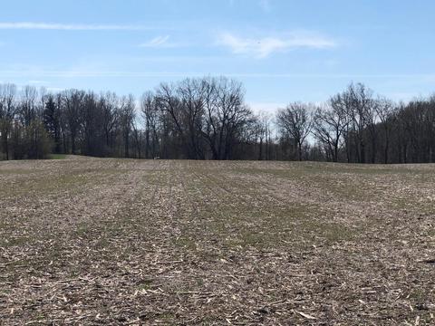O Drive S, Athens, MI 49011