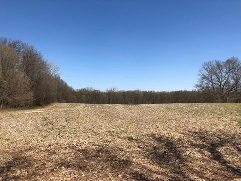 O Drive S, Athens, MI 49011