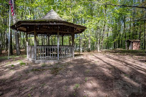 4141 Wellman Rd, Parma, MI 49269 photo 83