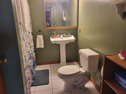 10495 Rome Rd, Adrian, MI 49221 photo 10