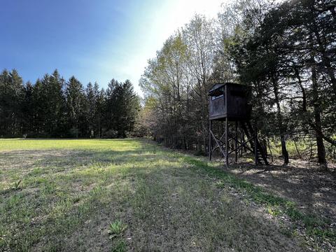 11060 Nolan Rd, Gladwin, MI 48624 photo 28