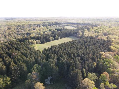 11060 Nolan Rd, Gladwin, MI 48624 photo 4