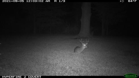 11060 Nolan Rd, Gladwin, MI 48624 photo 180