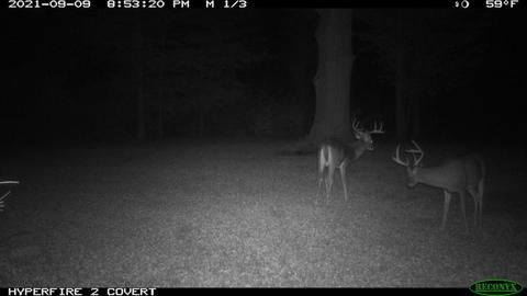 11060 Nolan Rd, Gladwin, MI 48624 photo 185