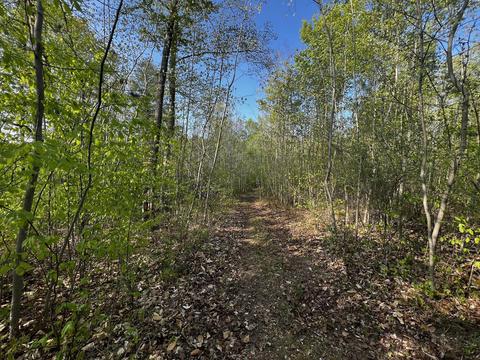 11060 Nolan Rd, Gladwin, MI 48624 photo 57