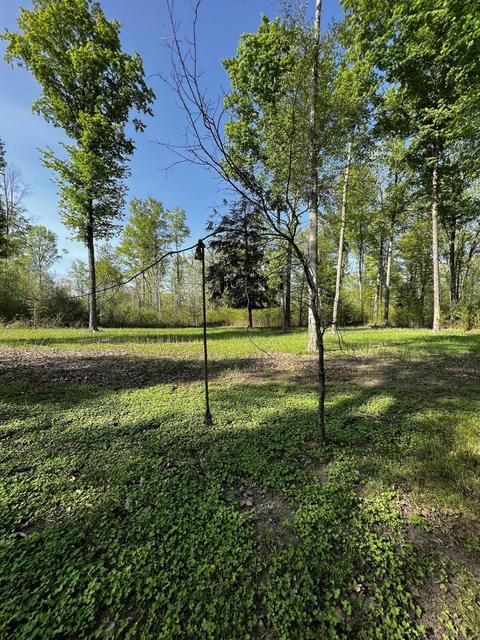 11060 Nolan Rd, Gladwin, MI 48624 photo 37