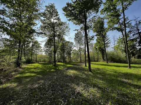 11060 Nolan Rd, Gladwin, MI 48624 photo 35