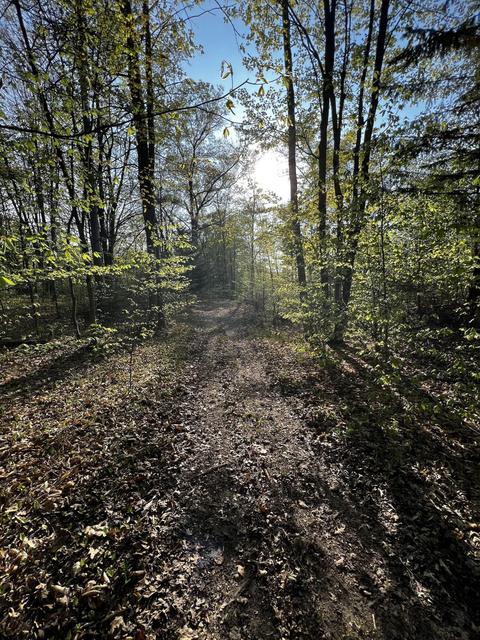 11060 Nolan Rd, Gladwin, MI 48624 photo 86
