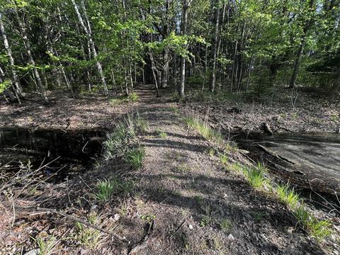 11060 Nolan Rd, Gladwin, MI 48624 photo 78