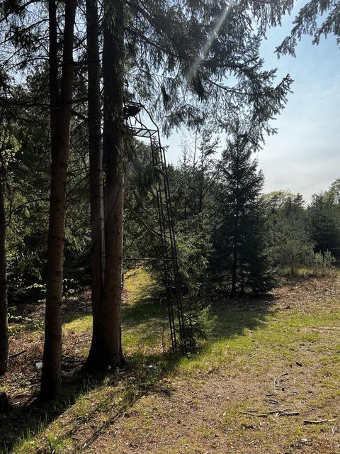 11060 Nolan Rd, Gladwin, MI 48624 photo 32