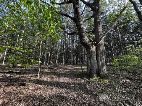 11060 Nolan Rd, Gladwin, MI 48624 photo 82