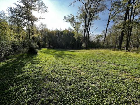 11060 Nolan Rd, Gladwin, MI 48624 photo 93