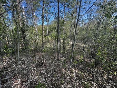 11060 Nolan Rd, Gladwin, MI 48624 photo 68