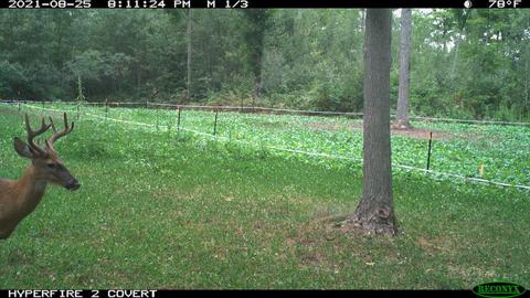 11060 Nolan Rd, Gladwin, MI 48624 photo 181