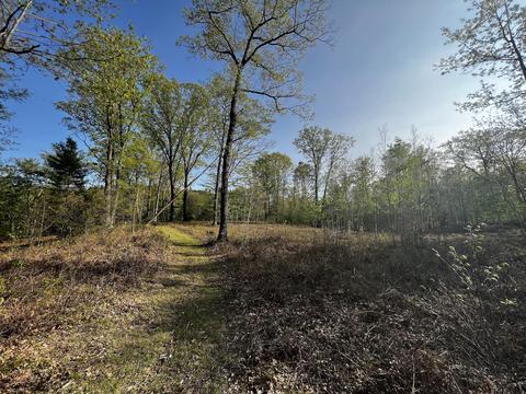 11060 Nolan Rd, Gladwin, MI 48624 photo 71