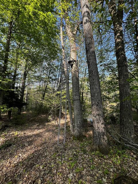 11060 Nolan Rd, Gladwin, MI 48624 photo 47