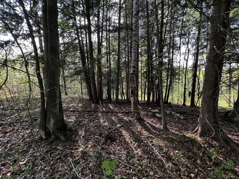 11060 Nolan Rd, Gladwin, MI 48624 photo 55
