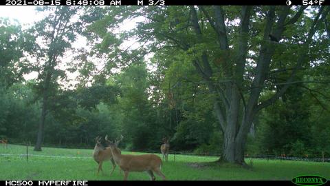 11060 Nolan Rd, Gladwin, MI 48624 photo 157