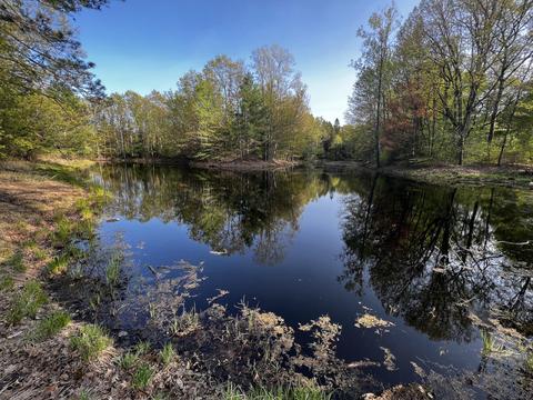 11060 Nolan Rd, Gladwin, MI 48624 photo 90