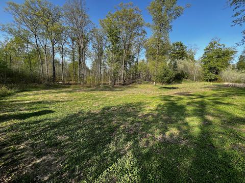 11060 Nolan Rd, Gladwin, MI 48624 photo 58