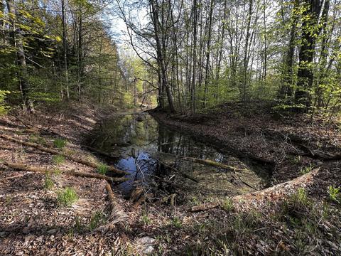 11060 Nolan Rd, Gladwin, MI 48624 photo 84