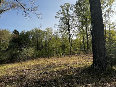 11060 Nolan Rd, Gladwin, MI 48624 photo 76