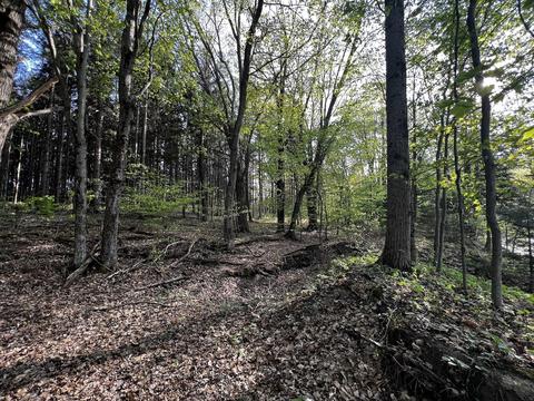 11060 Nolan Rd, Gladwin, MI 48624 photo 81