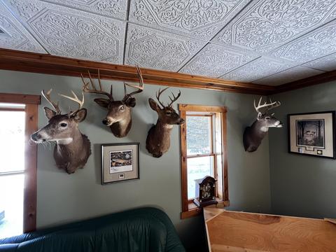 11060 Nolan Rd, Gladwin, MI 48624 photo 129