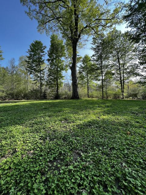 11060 Nolan Rd, Gladwin, MI 48624 photo 38