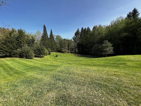 11060 Nolan Rd, Gladwin, MI 48624 photo 14