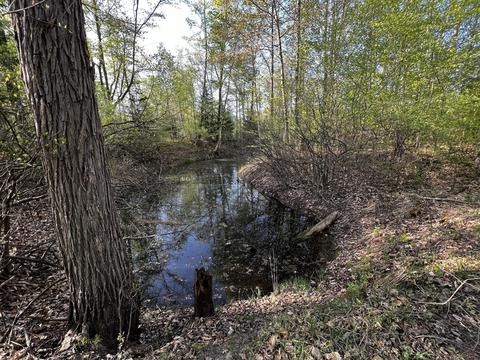 11060 Nolan Rd, Gladwin, MI 48624 photo 85