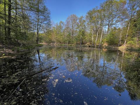 11060 Nolan Rd, Gladwin, MI 48624 photo 48