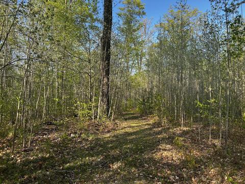 11060 Nolan Rd, Gladwin, MI 48624 photo 65