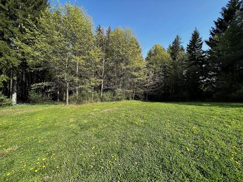 11060 Nolan Rd, Gladwin, MI 48624 photo 23