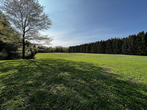 11060 Nolan Rd, Gladwin, MI 48624 photo 24