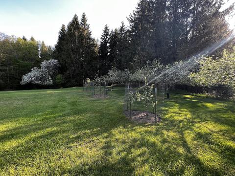 11060 Nolan Rd, Gladwin, MI 48624 photo 100