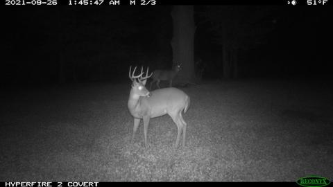 11060 Nolan Rd, Gladwin, MI 48624 photo 191