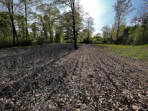11060 Nolan Rd, Gladwin, MI 48624 photo 63