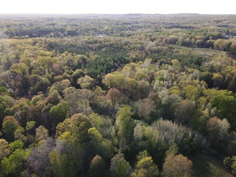 11060 Nolan Rd, Gladwin, MI 48624 photo 5