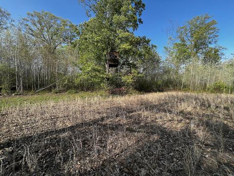 11060 Nolan Rd, Gladwin, MI 48624 photo 62