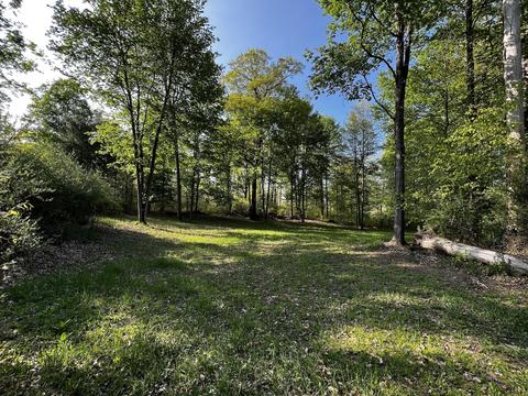 11060 Nolan Rd, Gladwin, MI 48624 photo 45