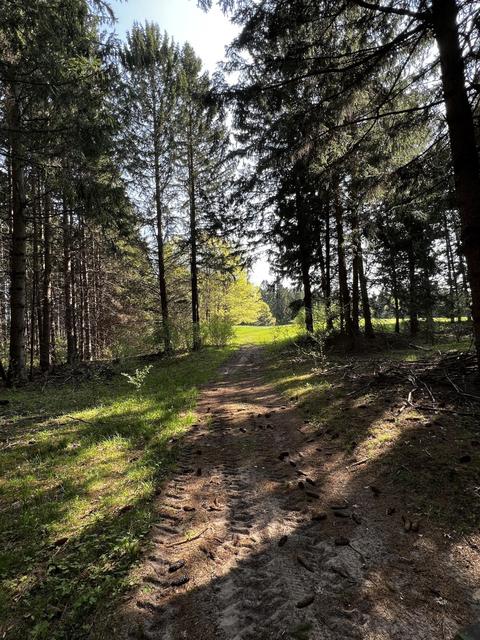 11060 Nolan Rd, Gladwin, MI 48624 photo 19
