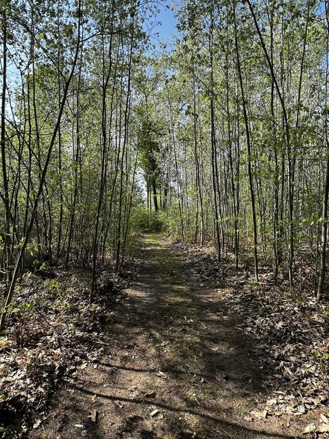 11060 Nolan Rd, Gladwin, MI 48624 photo 33