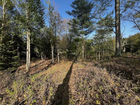 11060 Nolan Rd, Gladwin, MI 48624 photo 72