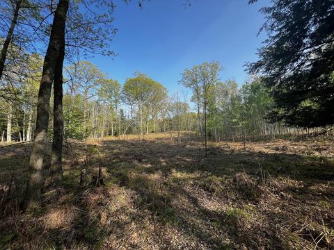 11060 Nolan Rd, Gladwin, MI 48624 photo 70
