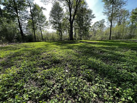 11060 Nolan Rd, Gladwin, MI 48624 photo 36
