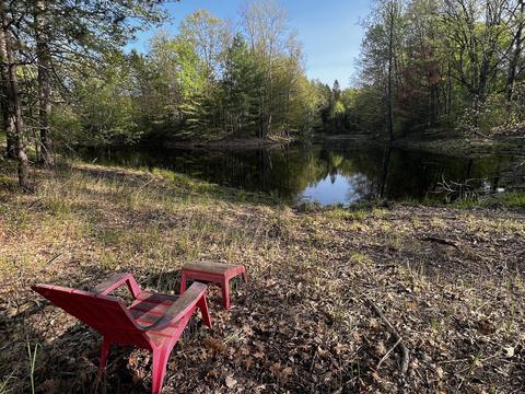 11060 Nolan Rd, Gladwin, MI 48624 photo 89