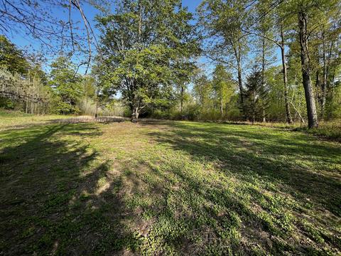 11060 Nolan Rd, Gladwin, MI 48624 photo 60
